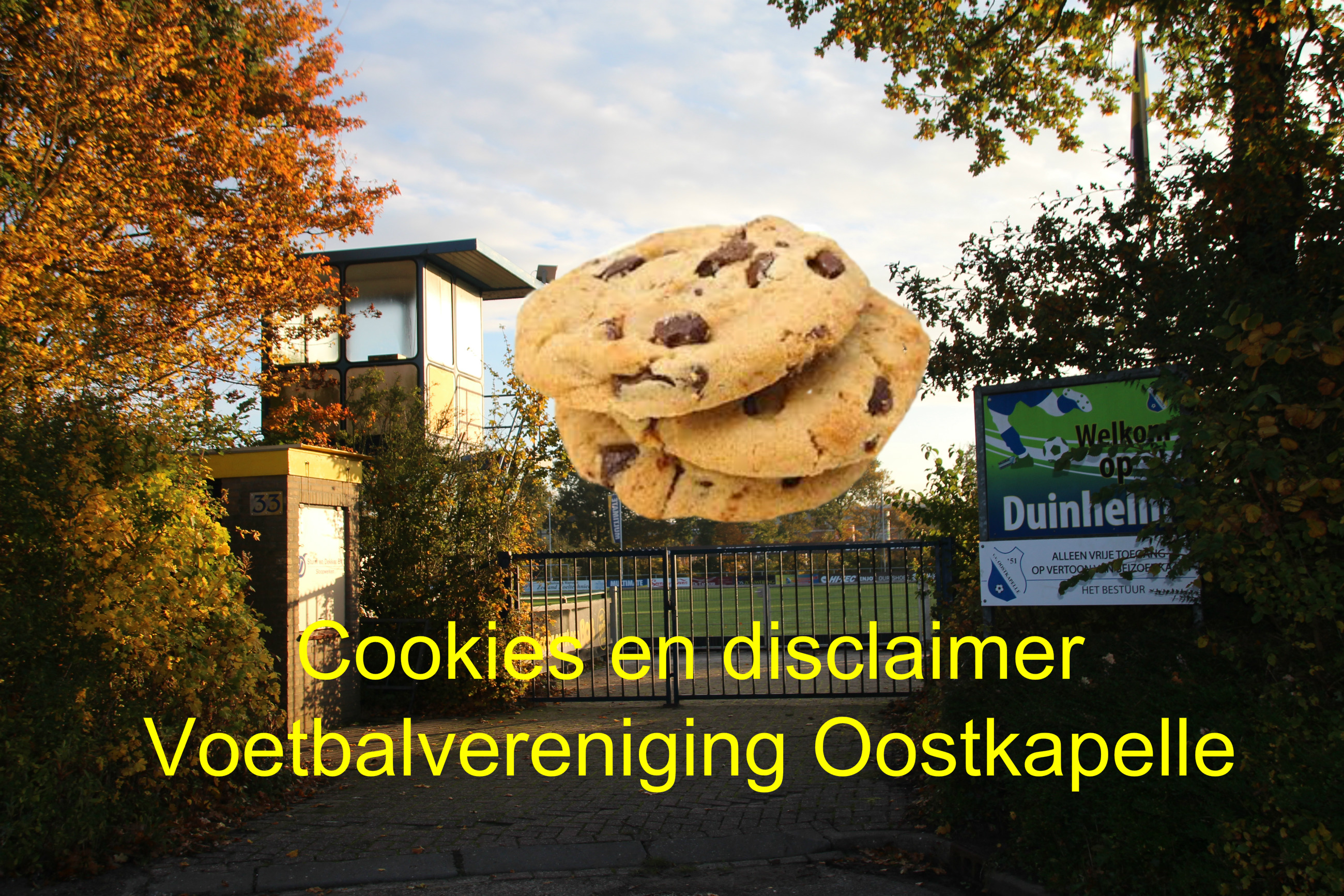 Cookies en disclaimer VVO 